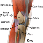 osteoarthritis pain treatment