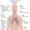 drug addiction hypnotherapy