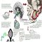 does hypnosis help people with seizures